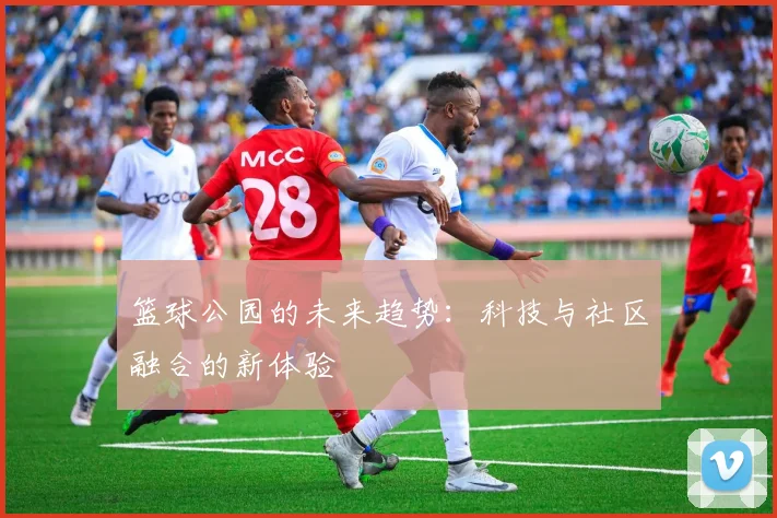 篮球公园的未来趋势:科技与社区融合的新体验