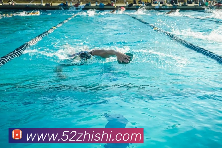 乐竞体育官方官网平台生态图